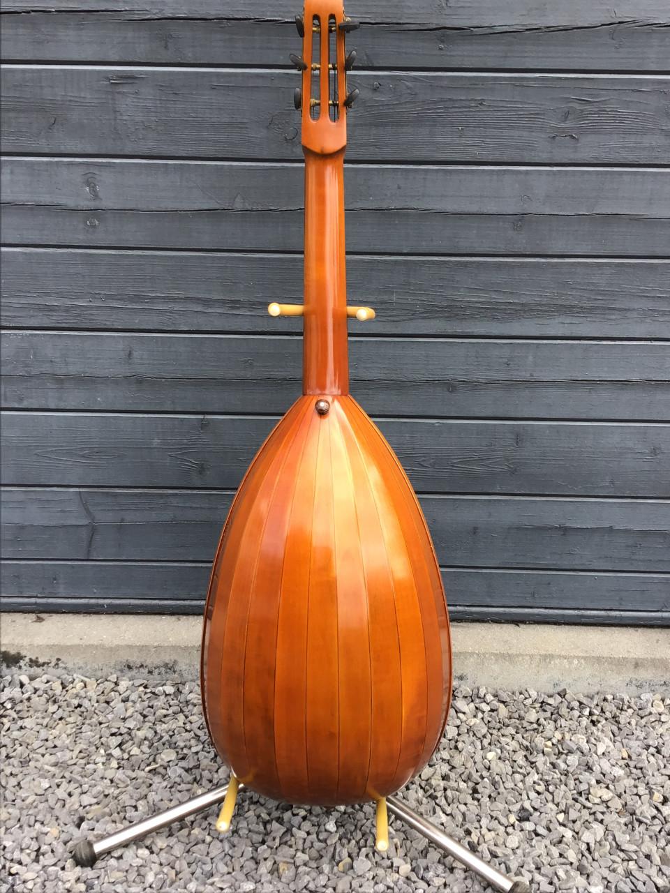 Gitaar Linkshandige luit gitaar