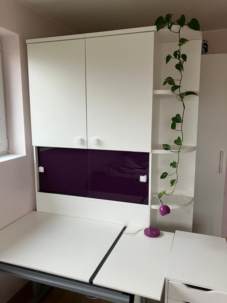 Inloopkast