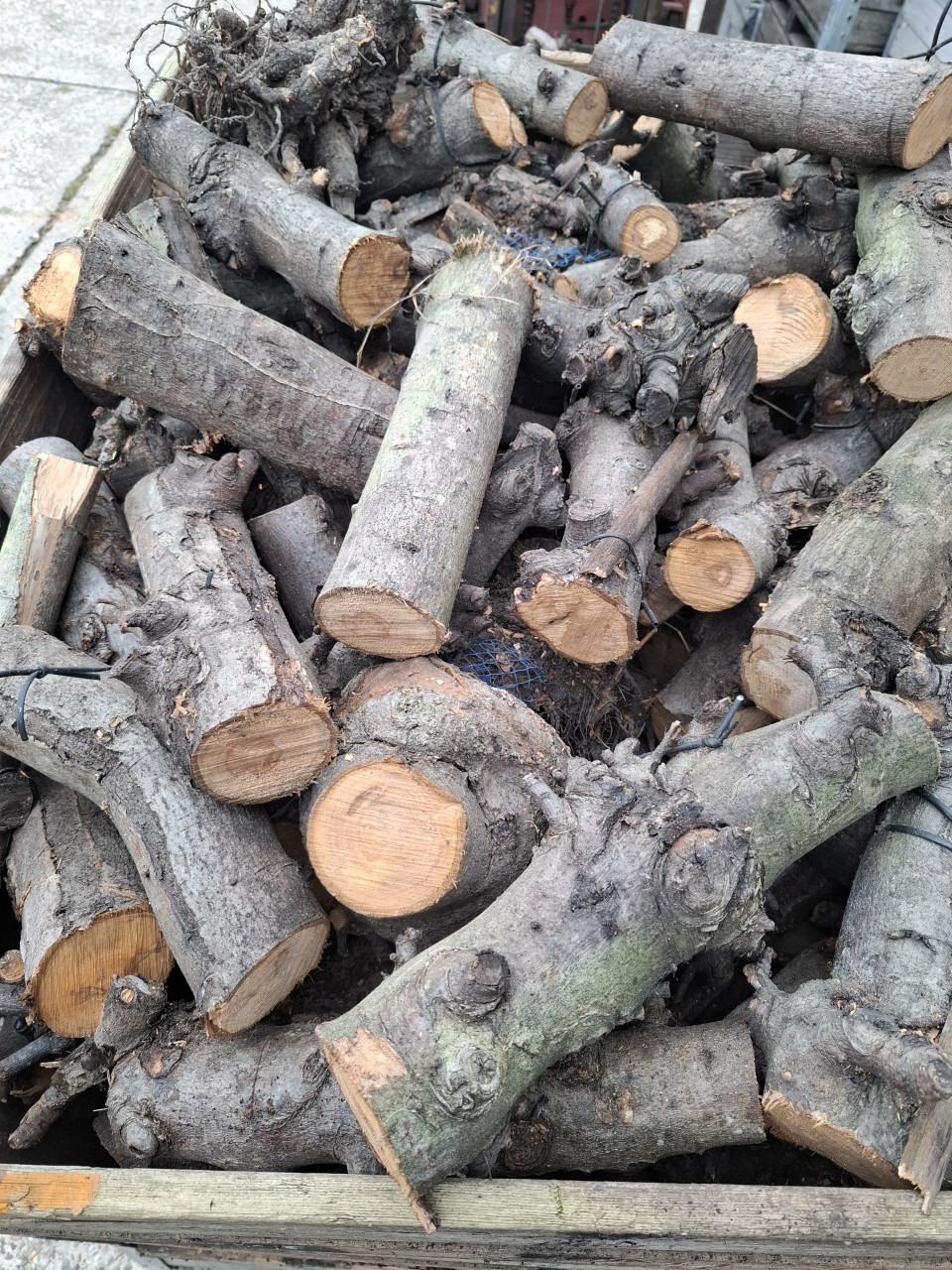 Droog fruitbomen hout te koop