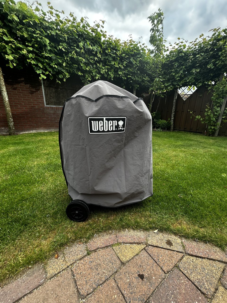 Weber Barbecue