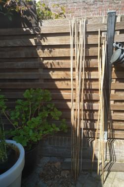 15x Gamma bamboestokken 2.10 m