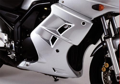 Ruitjes, hugger,undertail,radiator cover,bellypan en meer accessoires