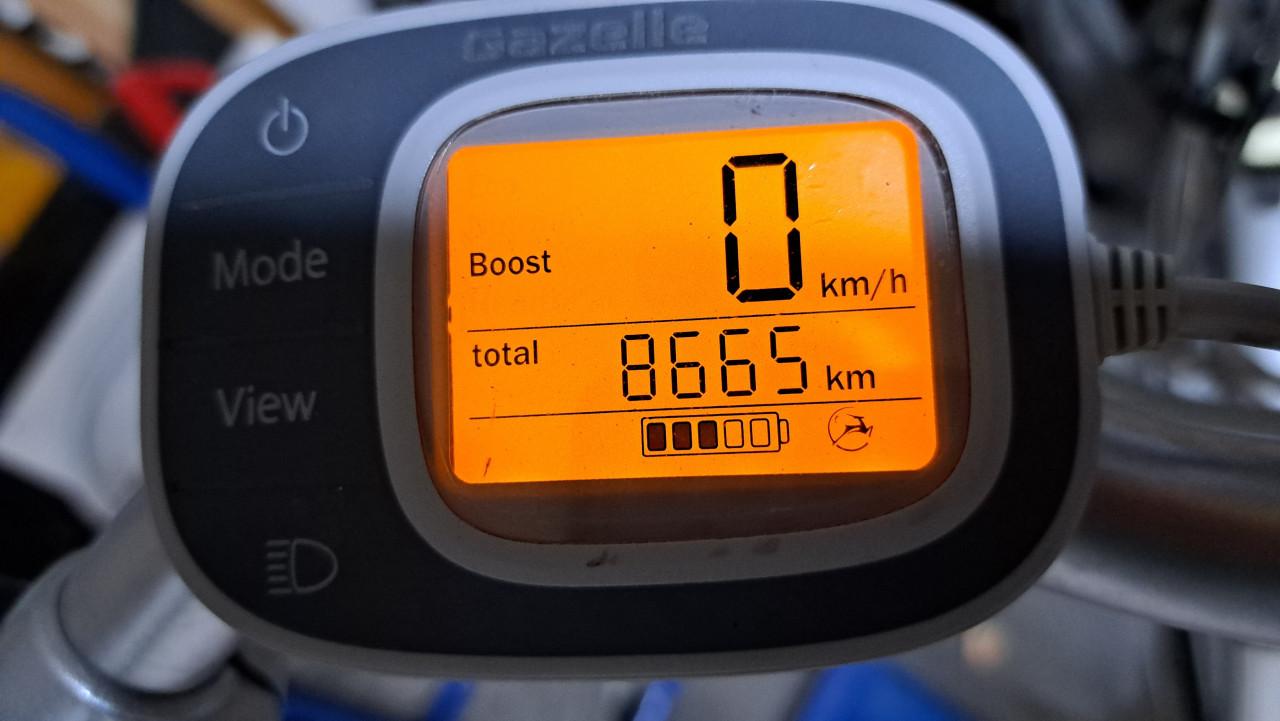 Gazelle Innergy XT elektrische fiets