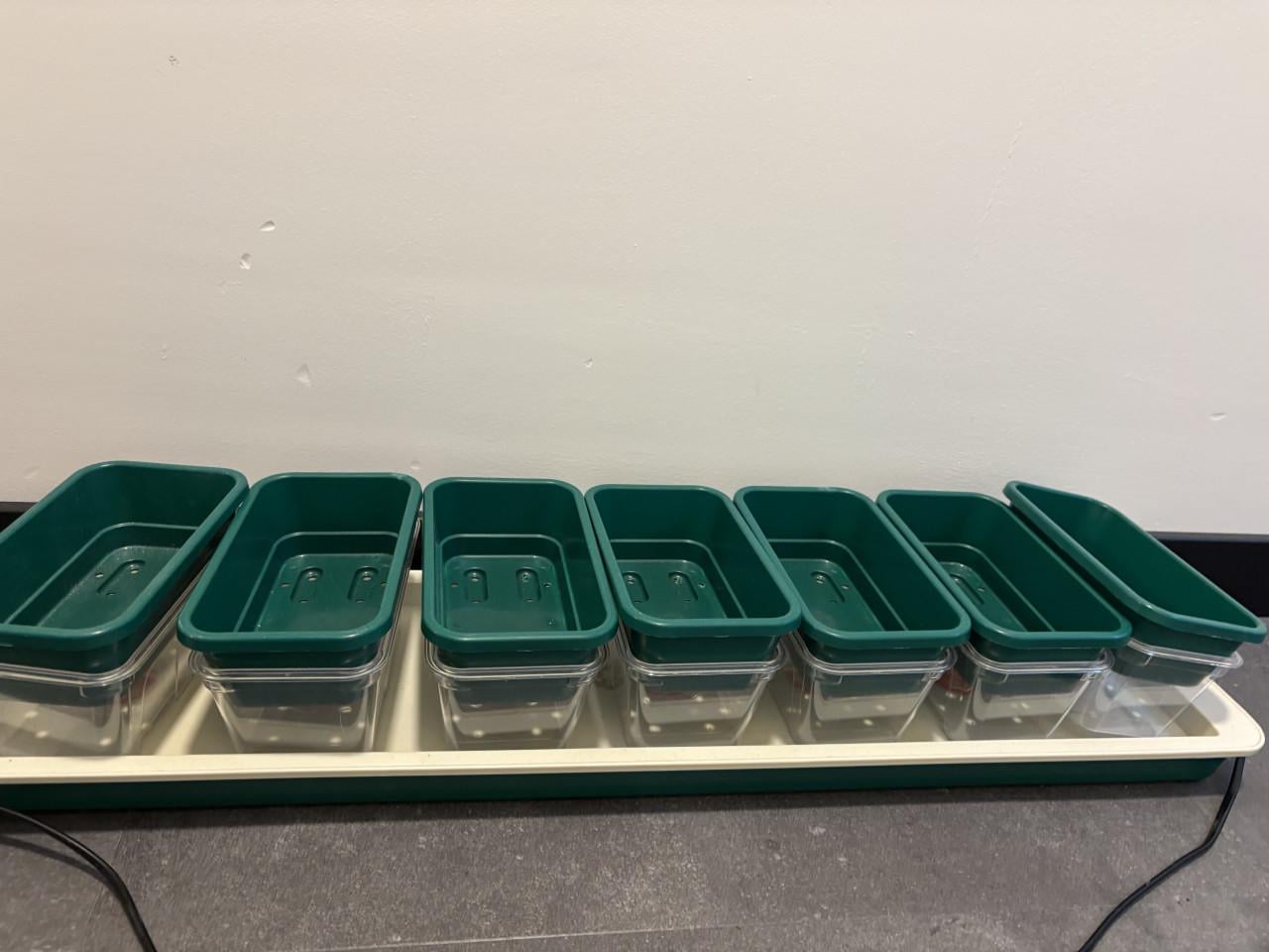Verwarmde groeikasbakjes