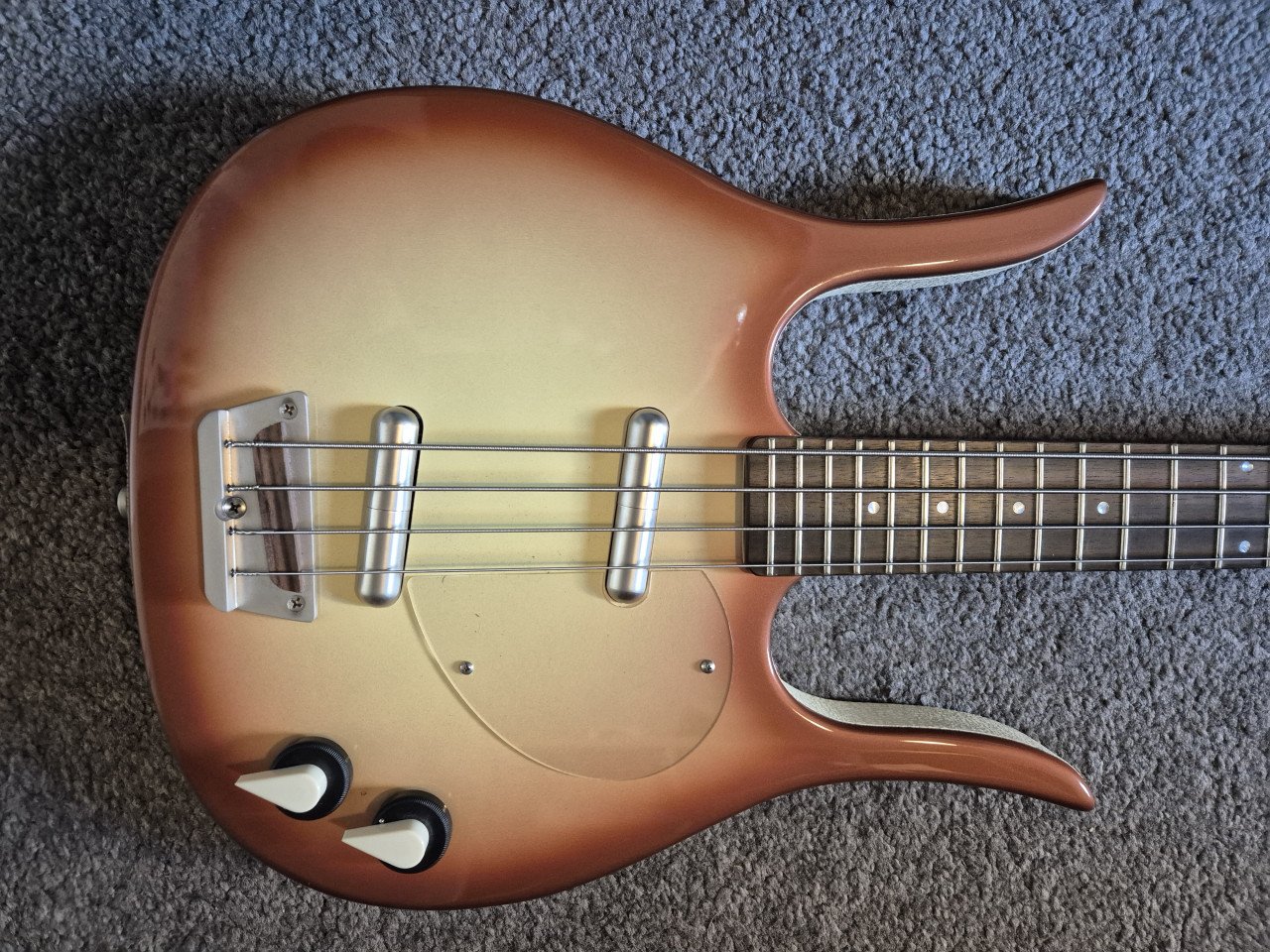 Basgitaar Longhorn