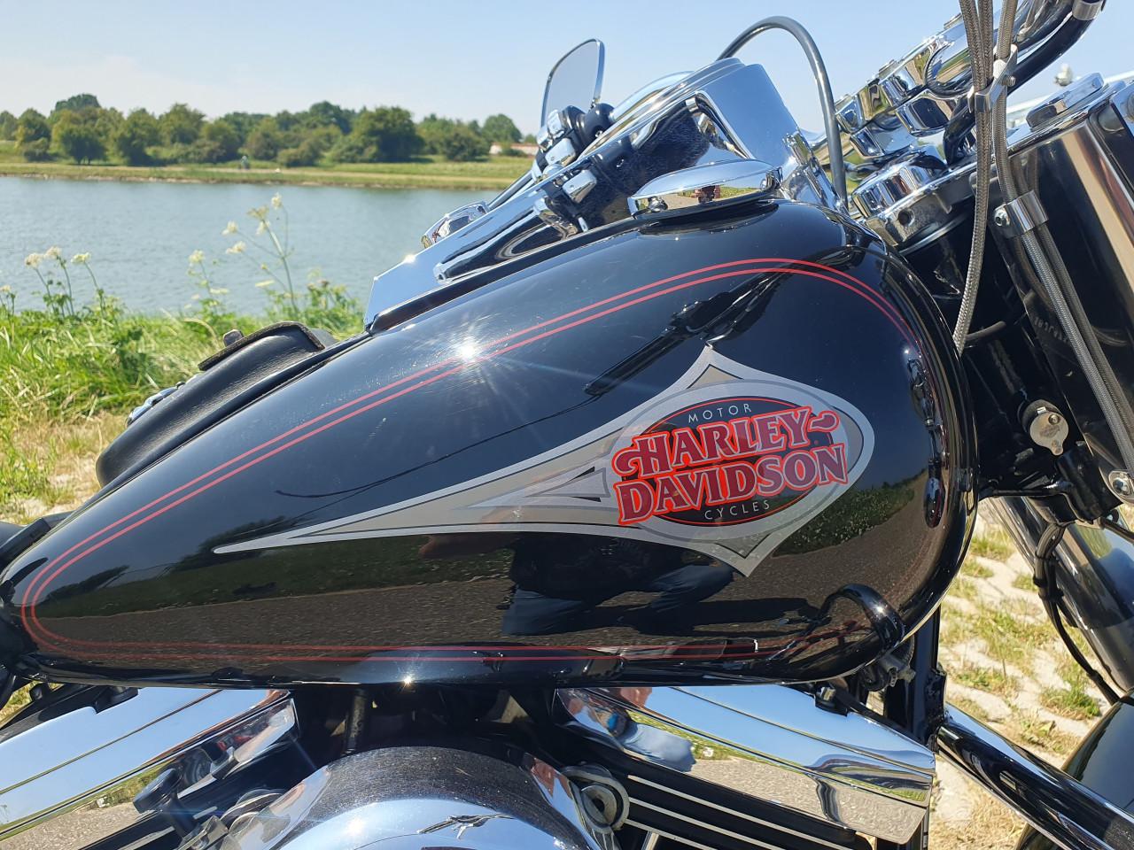 Harley- Davidson