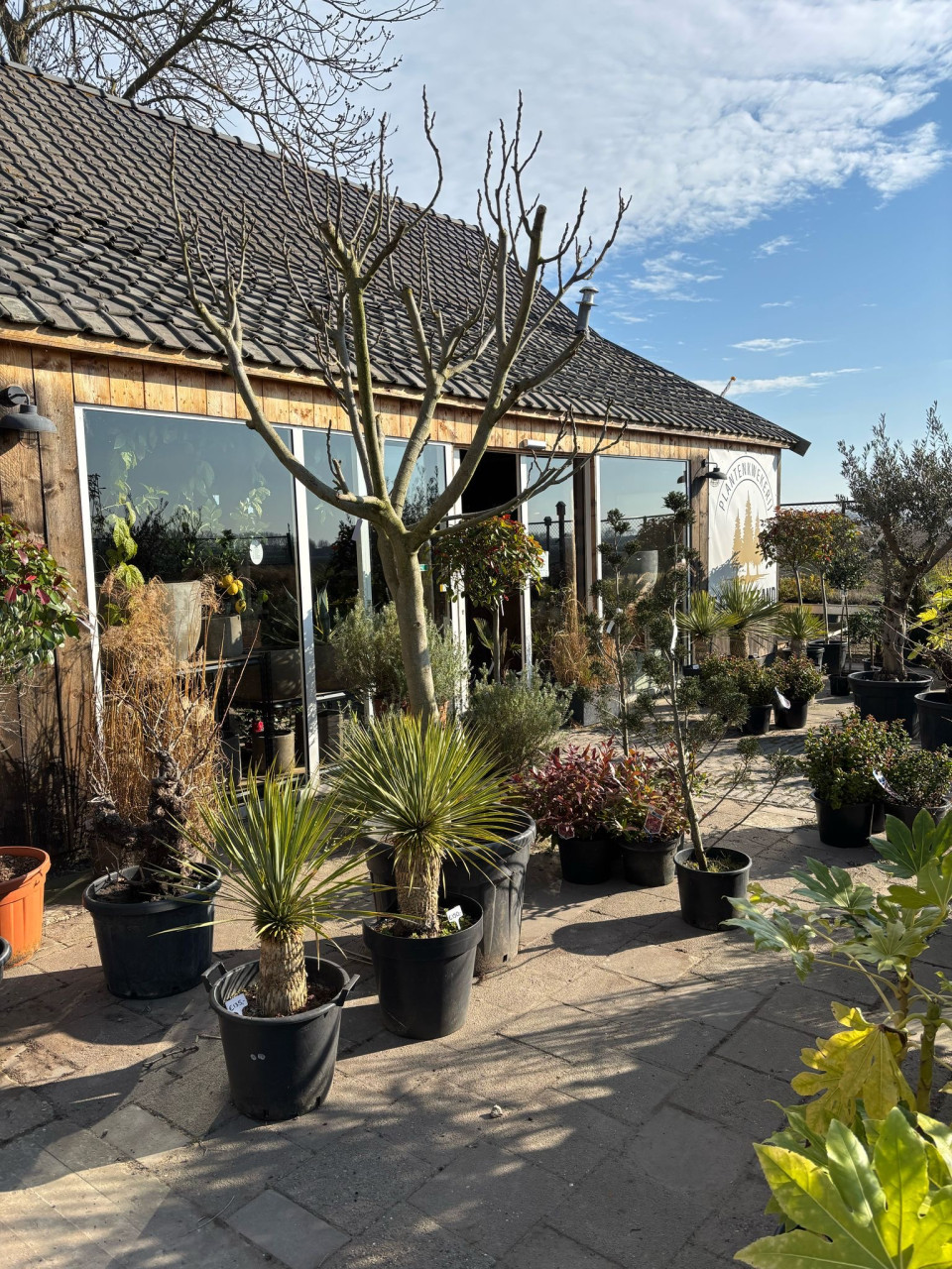 PLANTENKWEKERIJ ‘t GROENE LAND