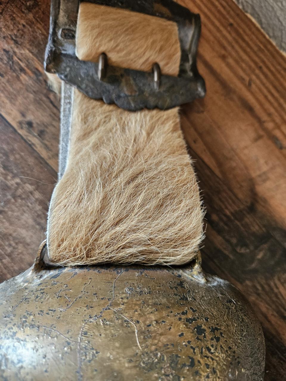 Originele Alpenschelle - Prachtige originele grote koebel