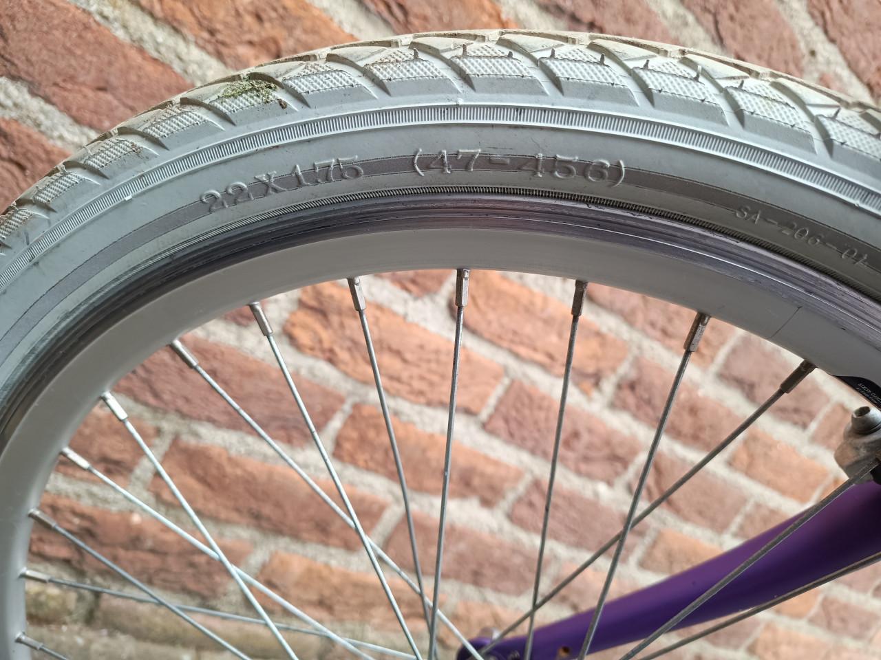 22 inch Loekie meisjes kinder fiets