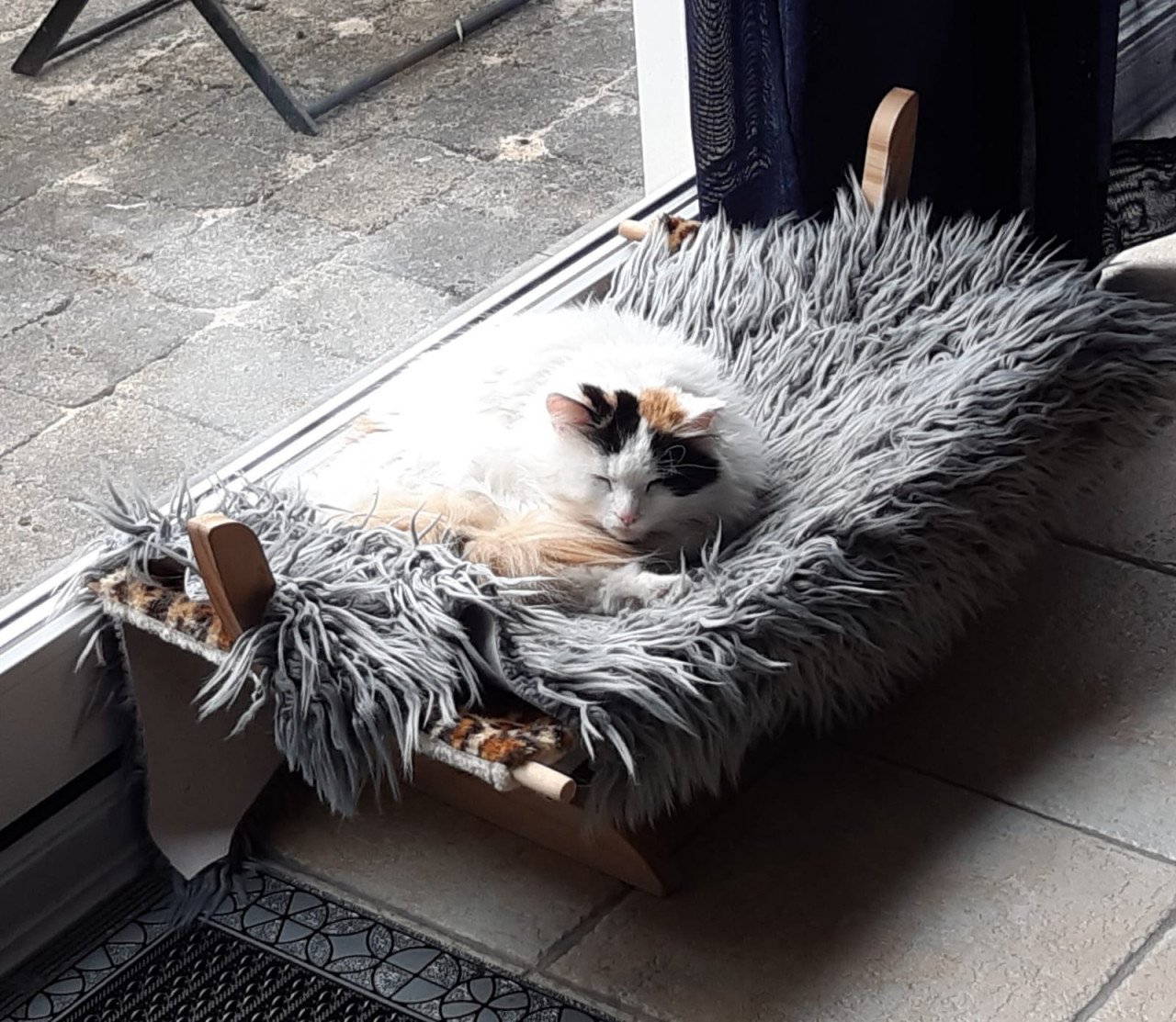 Hangmat katten