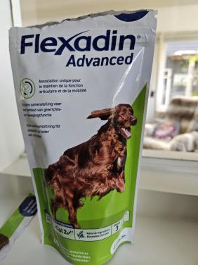 Glucosamine voor honden