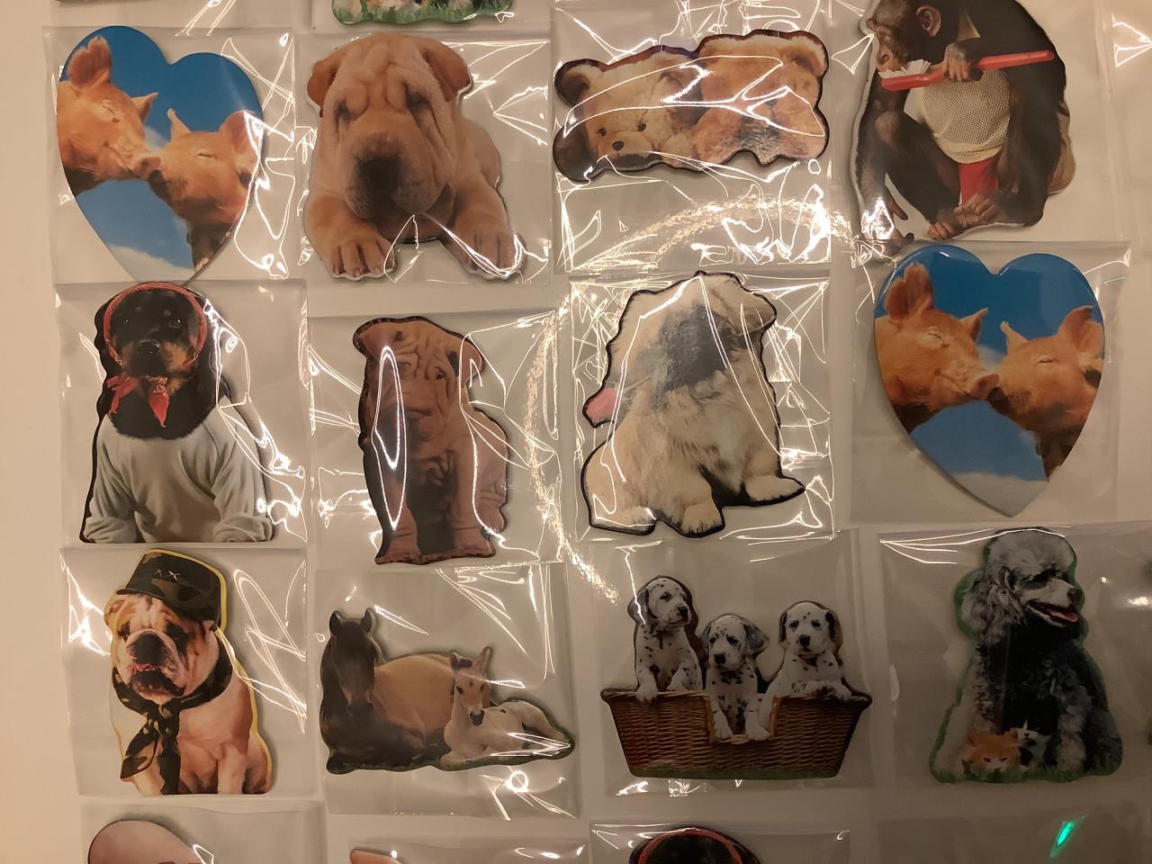 Partij super leuke magneetjes ( partij 21)