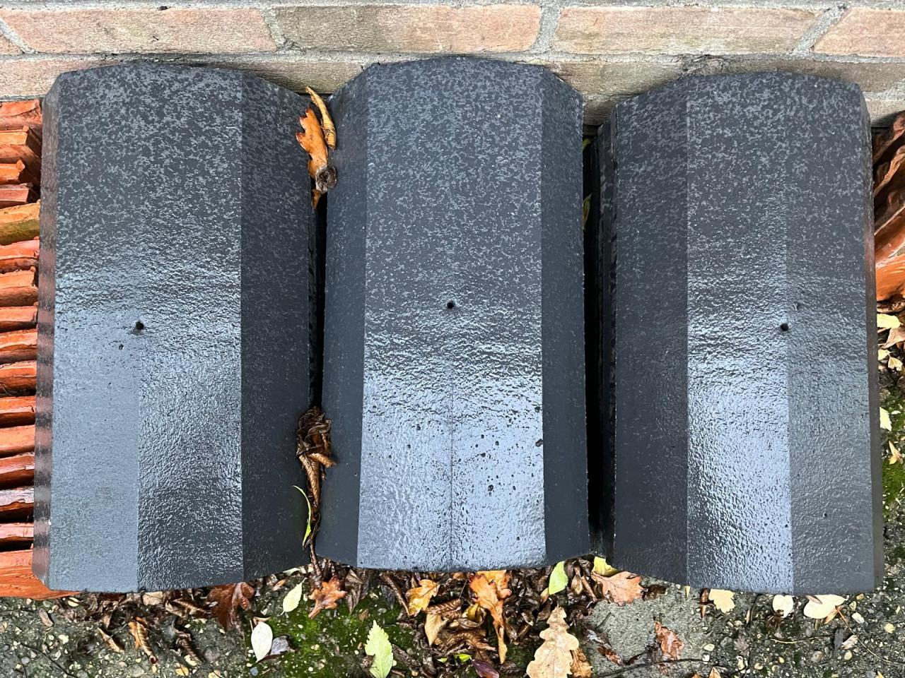 Nokvorsten (diverse types)