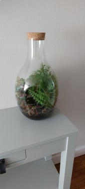 Glazen. Plantenpot