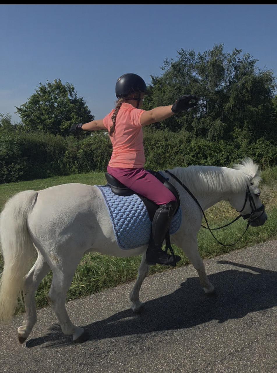 Brave allround kinderpony