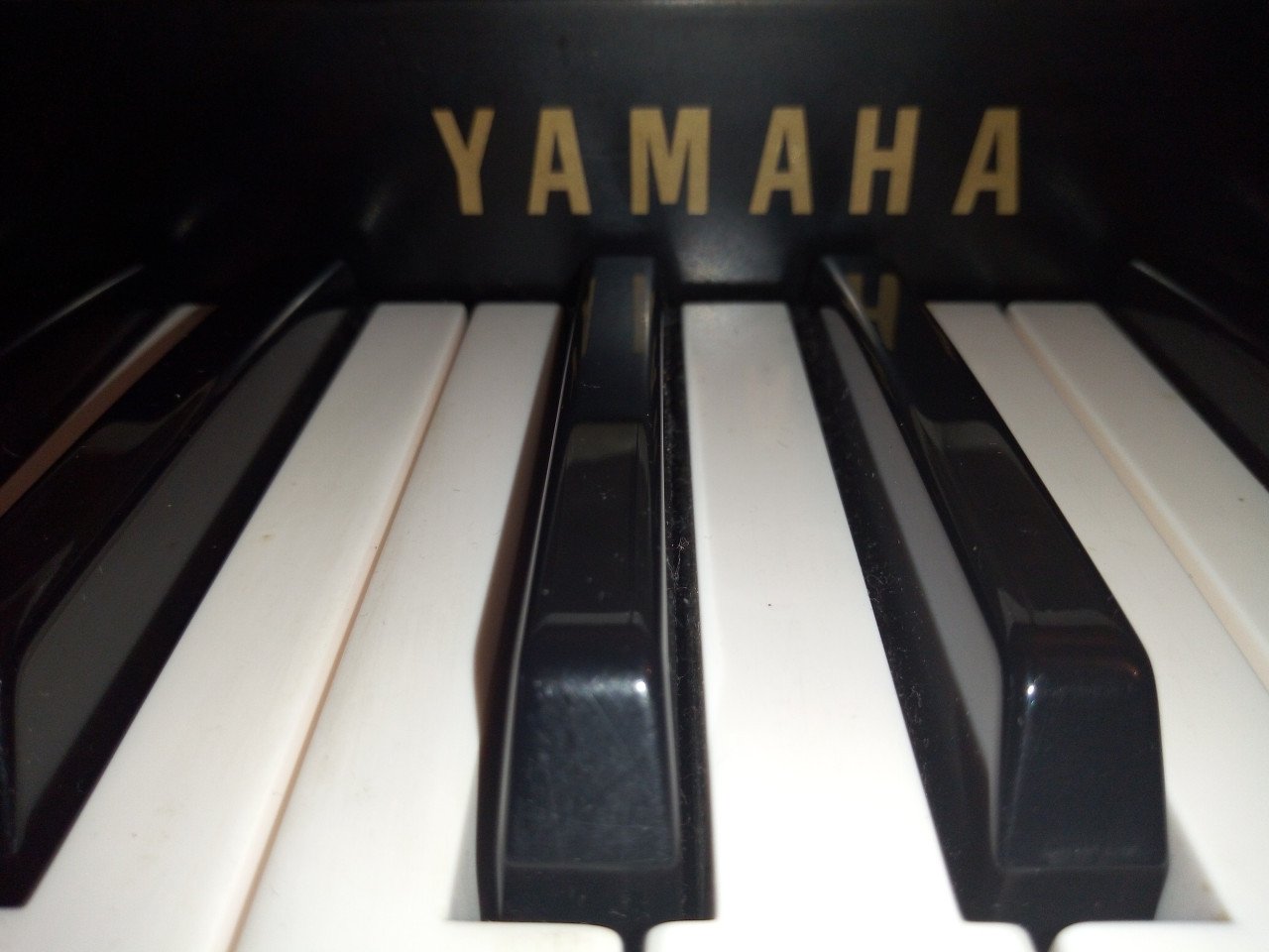 YAMAHA D-85