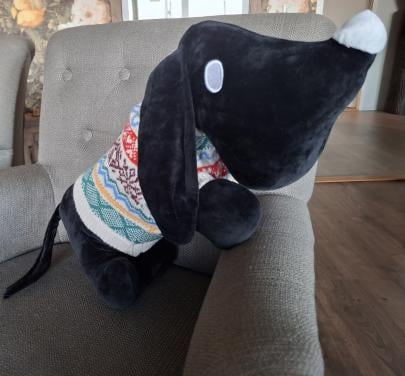 Takkie zoekt nieuw vriendje