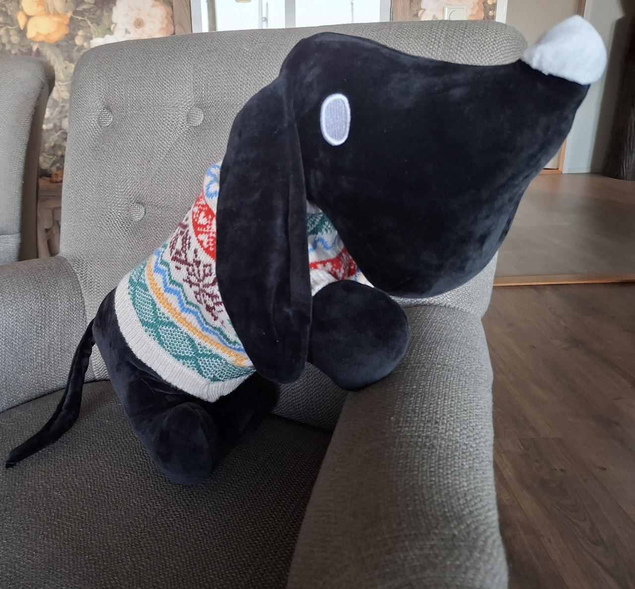 Takkie zoekt nieuw vriendje