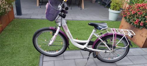 Meisjesfiets 20inch