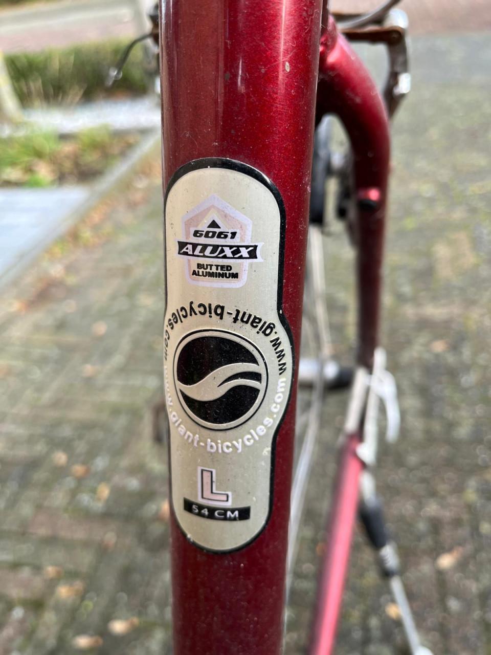 Mountainbike heren