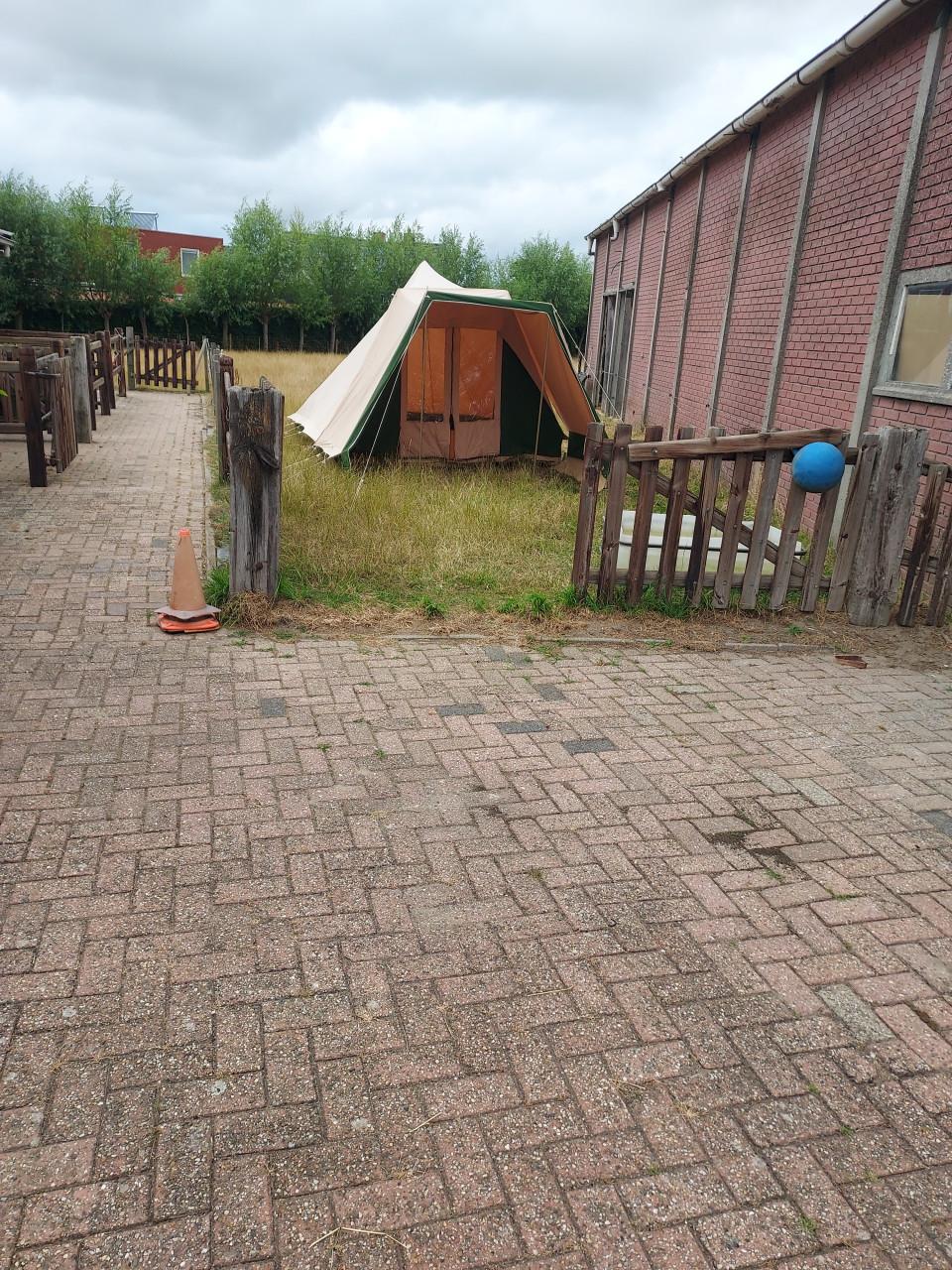 Bijna Gratis koopje piramide tent biesbos