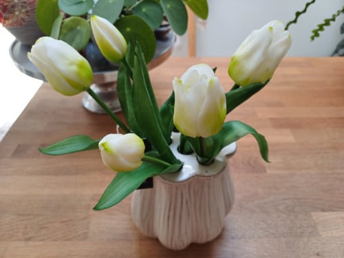 NIEUW: COUNTRYFIELD TULPENVAAS + 5 zijden, witte TULPEN !!!