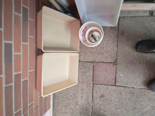 Groente Kweek bakken