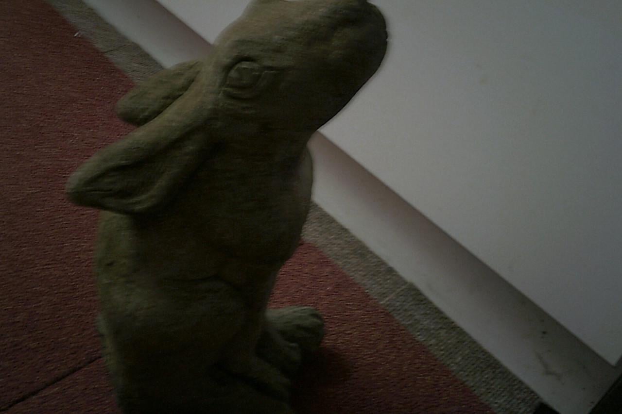 TUINBEELD - moongazing hare ...