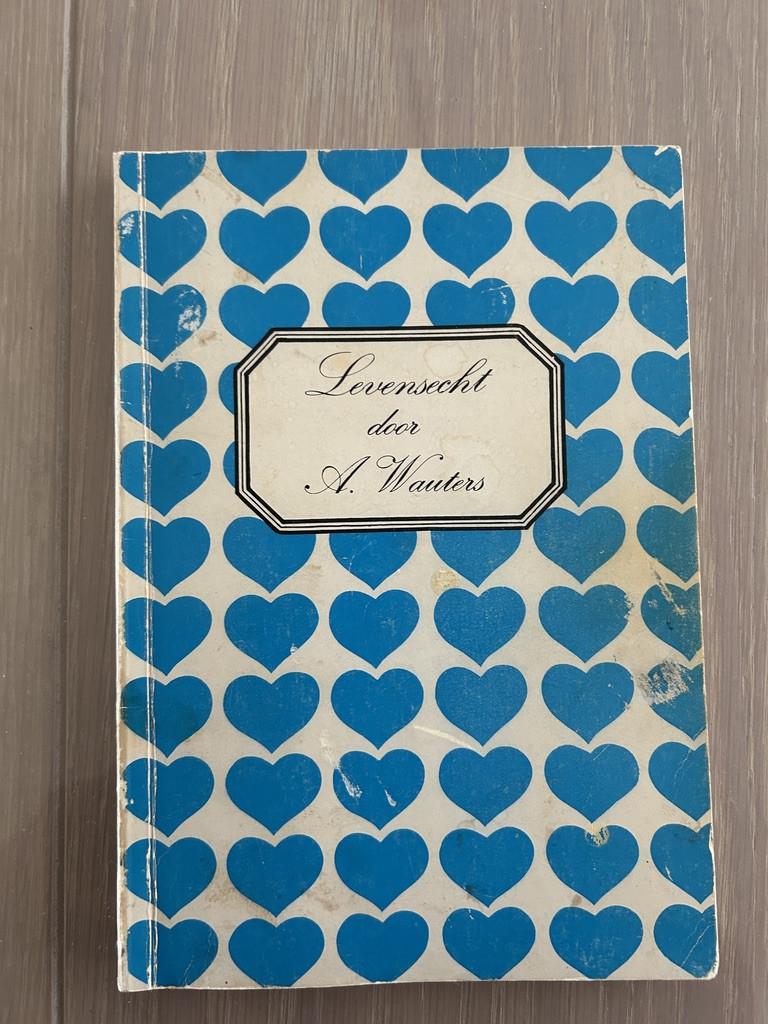 Nieuw-Namen juf Wauters