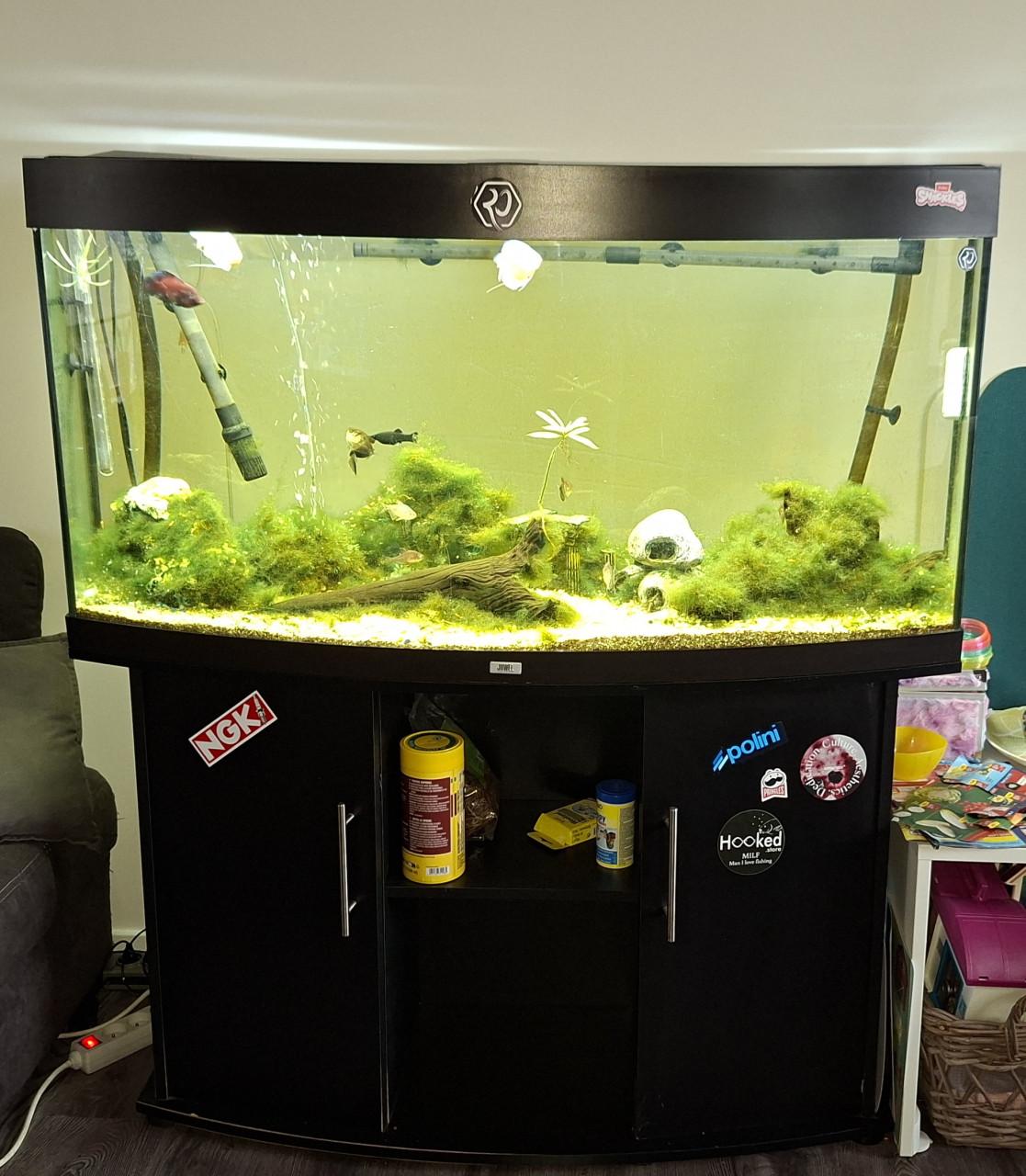 Leeg, Juwel aquarium vision 260L