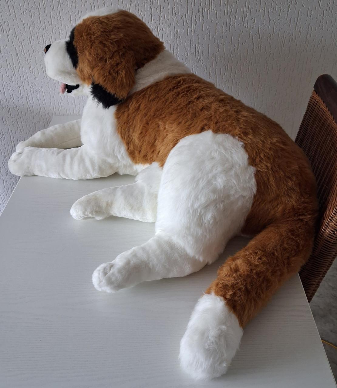 Grote Sint Bernard knuffel 85cm