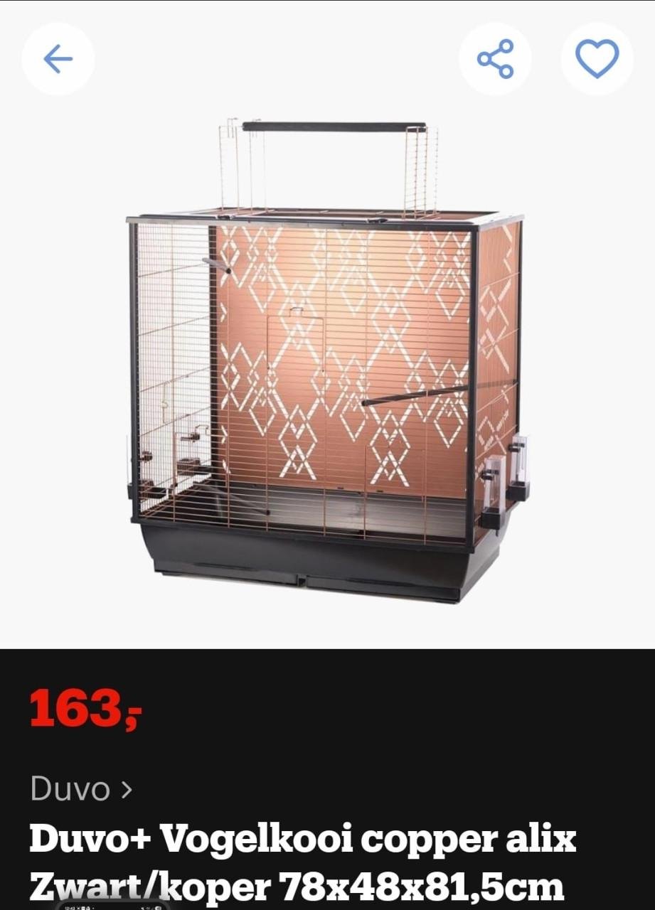 Hele jonge kakariki met kooi