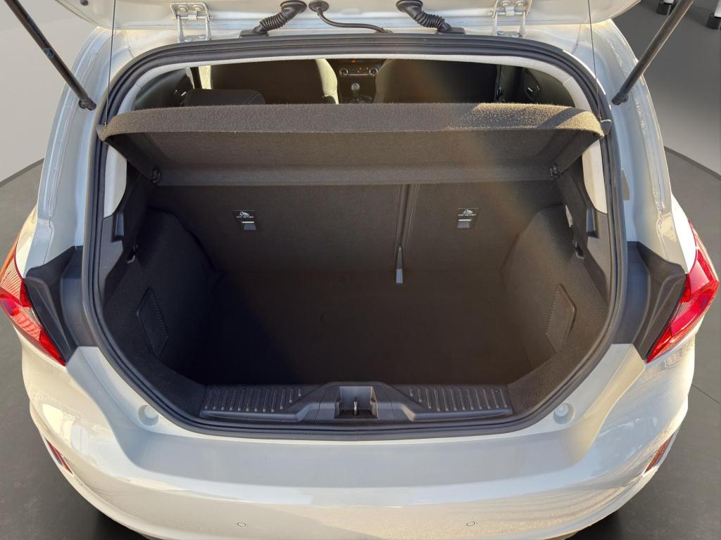 Ford Fiesta 1.0 ecoboost titanium | camera | parksensors | stoel/stuurverwa