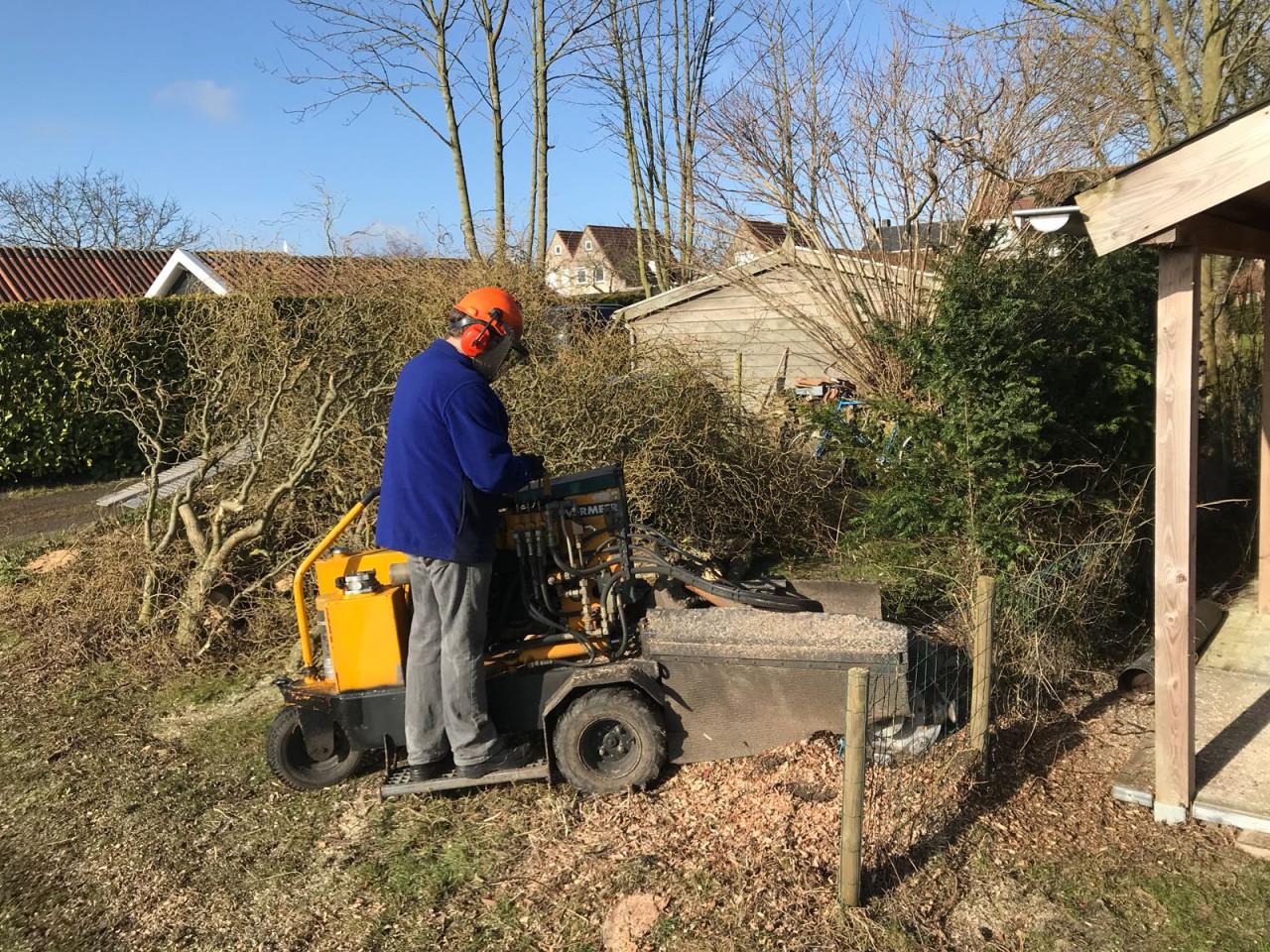 Stronk frezen in uw tuin?