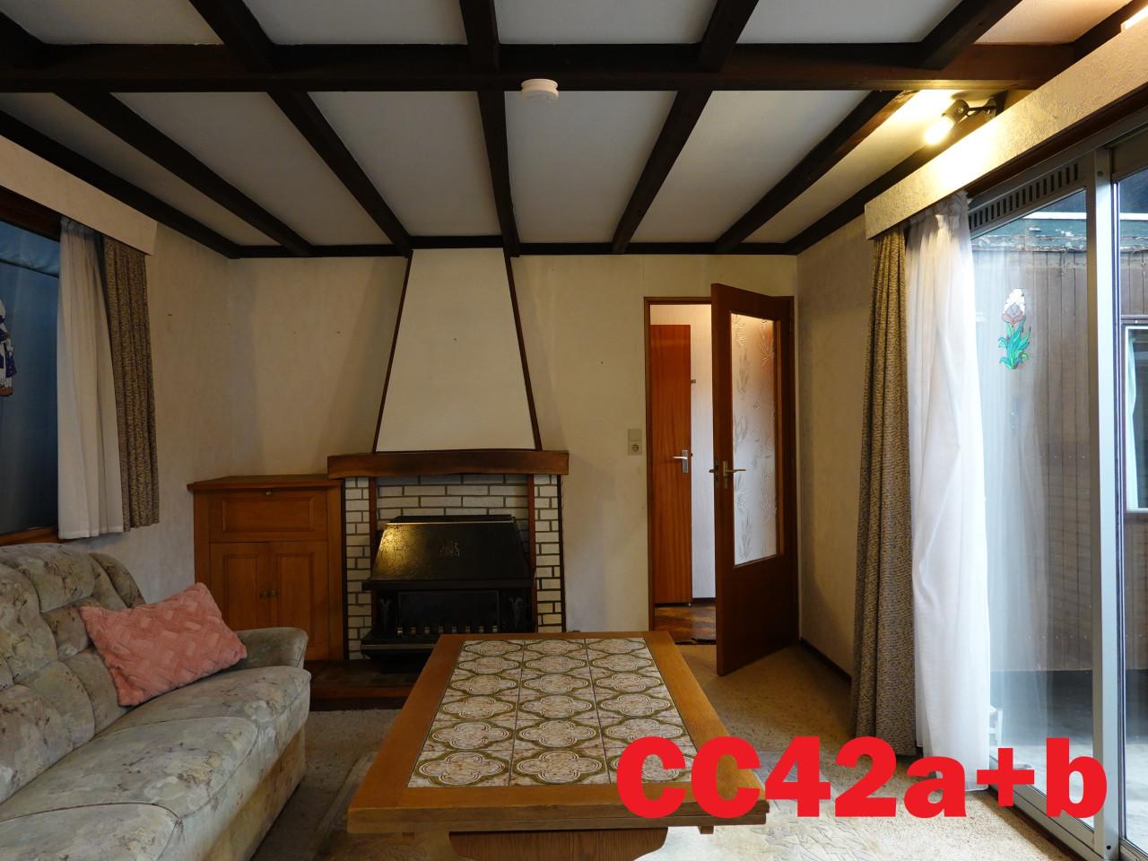 Diverse modellen chalets met retro interieur te koop