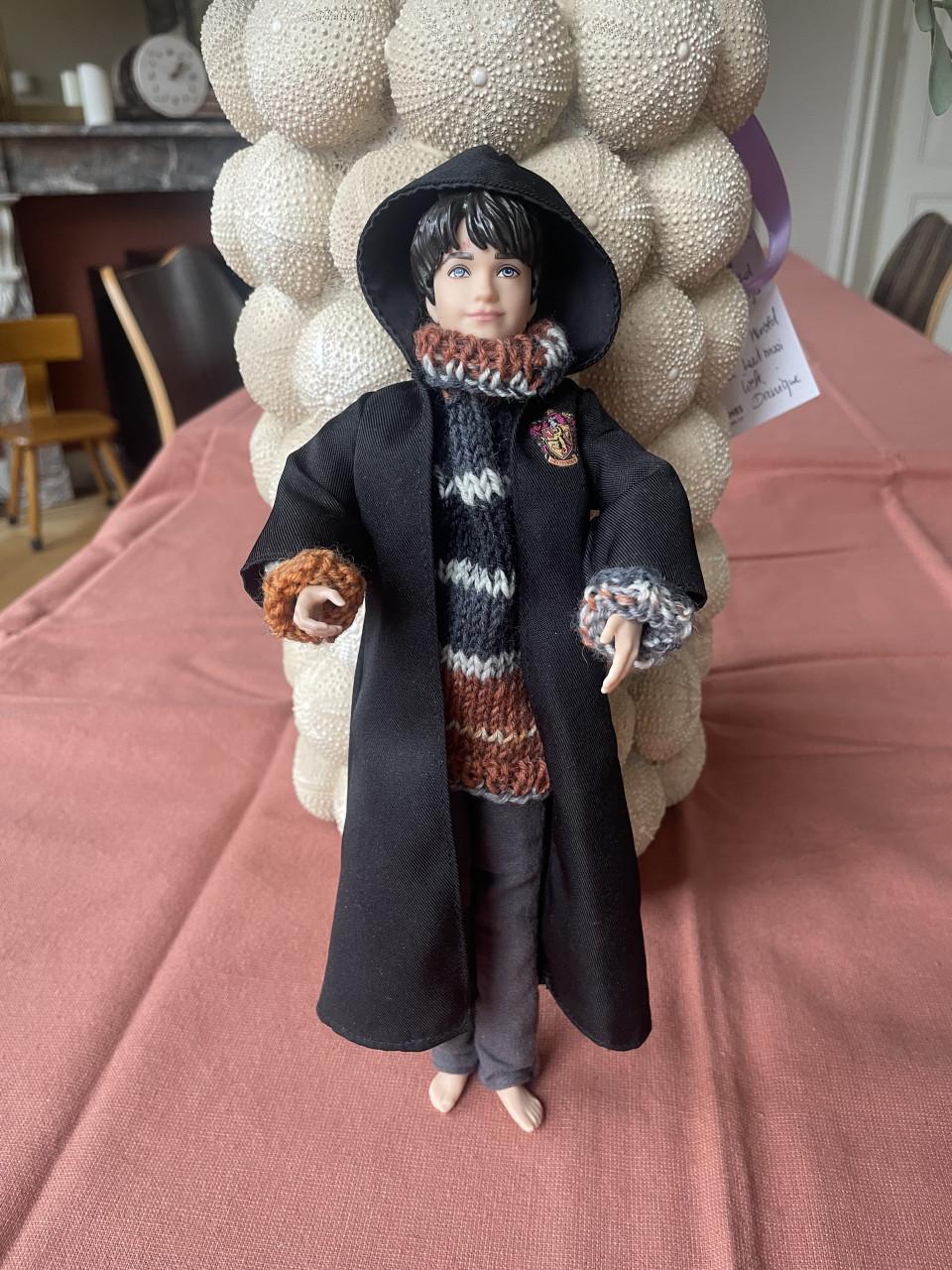 Harry Potter Hermeline en Ron 4 stuks Mattel barbie