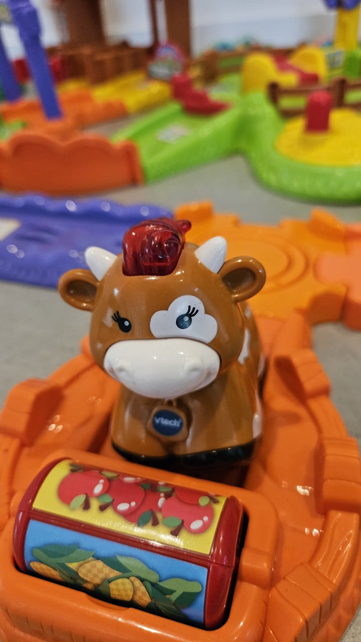 Zoef zoef boerderij en manege compleet