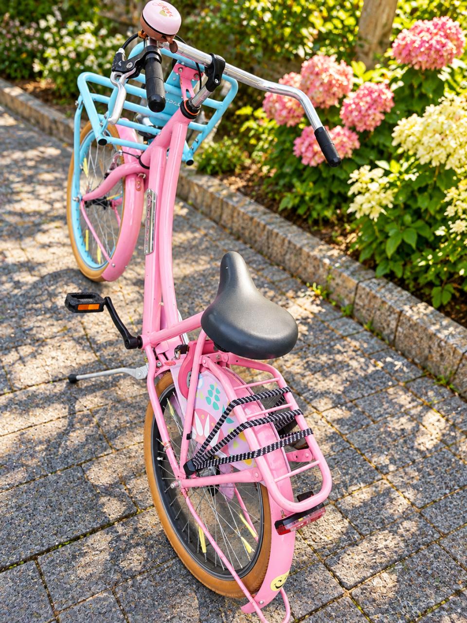 🚲 Popal Daily Dutch Bloom 22 Inch – Transportfiets