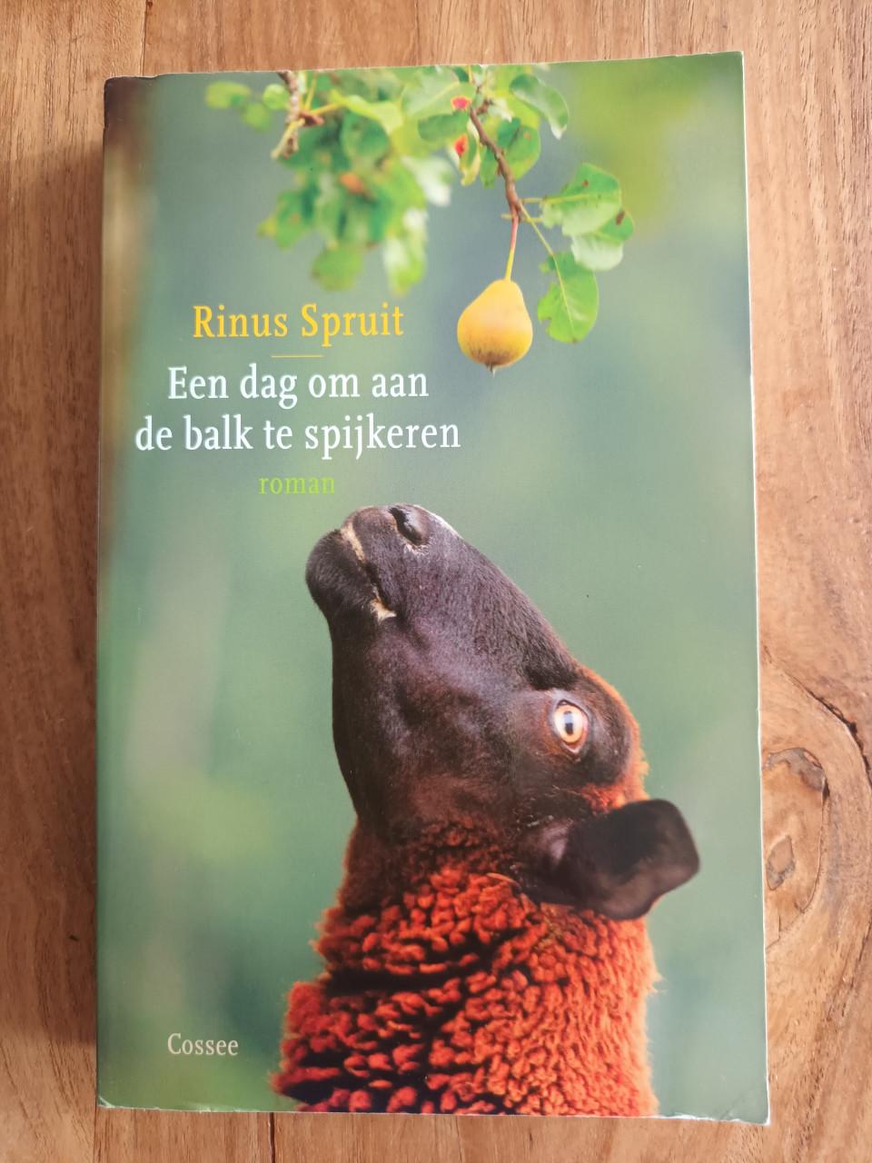 Een dag om aan de balk te spijkeren van Rinus Spruit