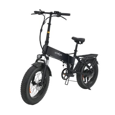 Te koop Windgoo pro B20  een opvouwbare fatbike