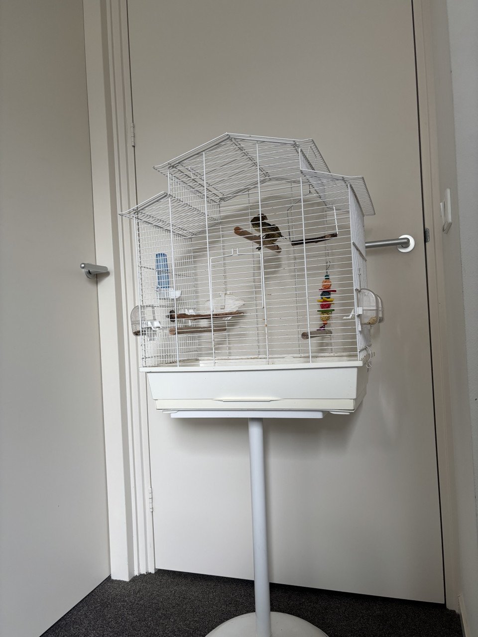 Complete vogelkooi - Met standaard