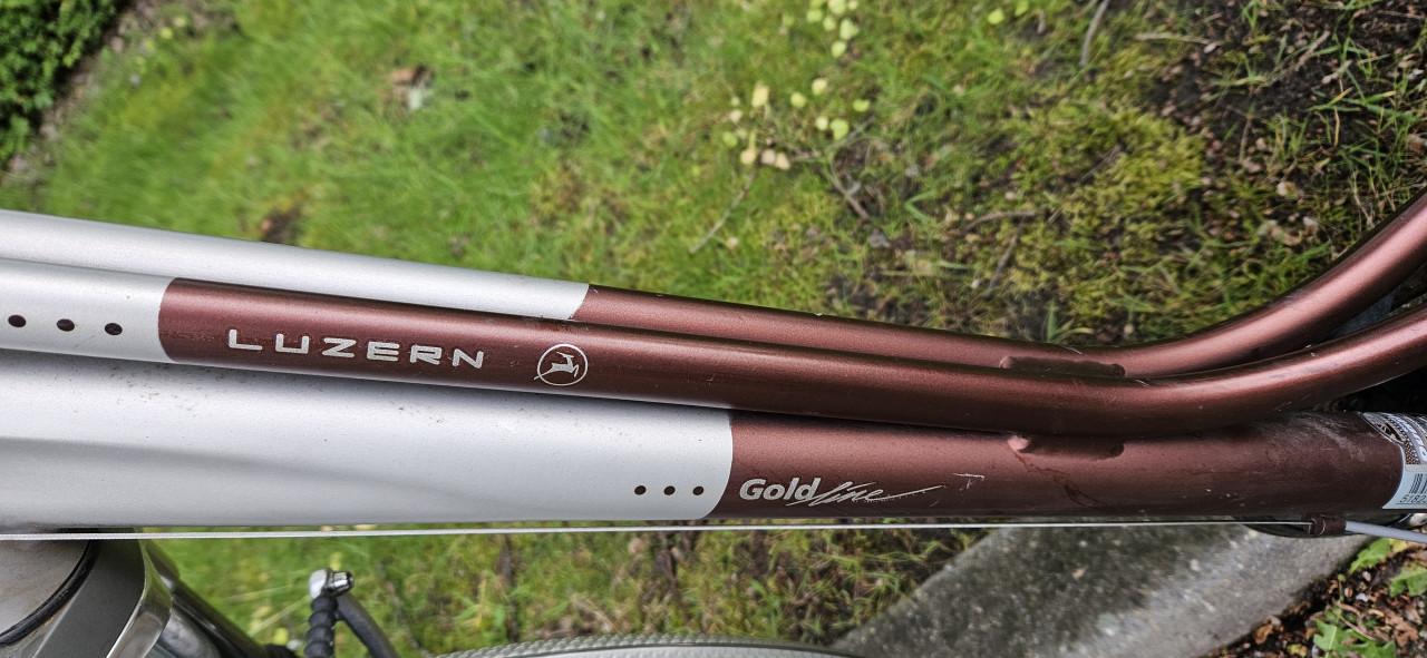Gazelle Luzern GoldLine   damesfiets
