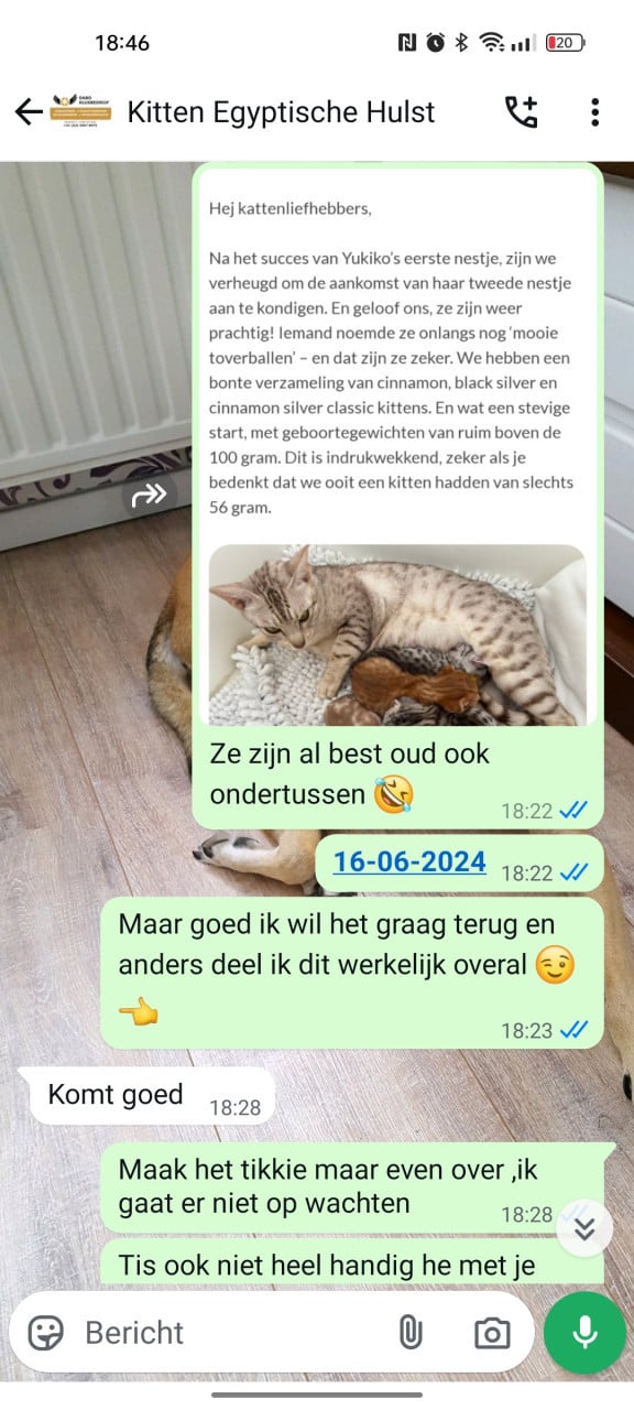 Niet zomaar aanbetalen zonder ze te zien👈😎