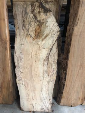 Korte schaaldelen met schimmeltekening  alles voor 10 euro