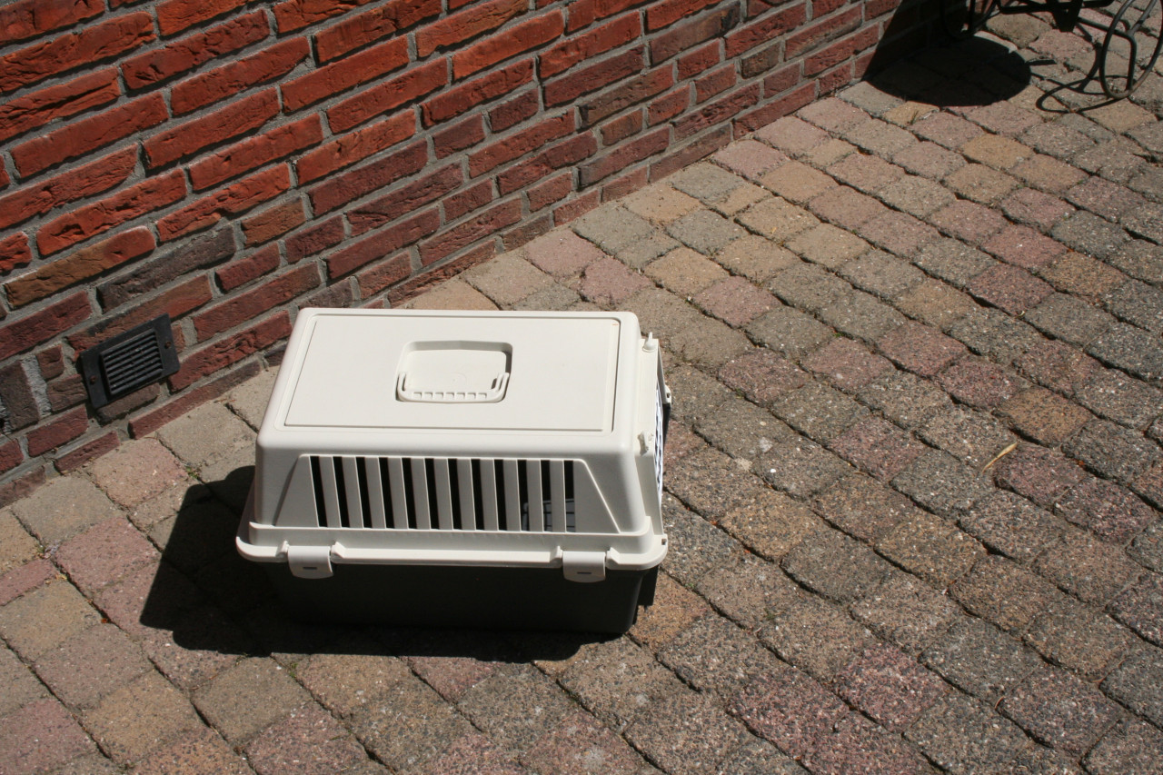 Transportbox en een kattenbak met een zak kattenbakvulling