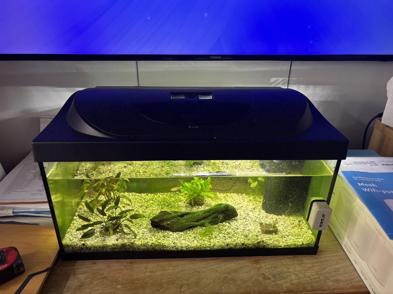 Aquarium