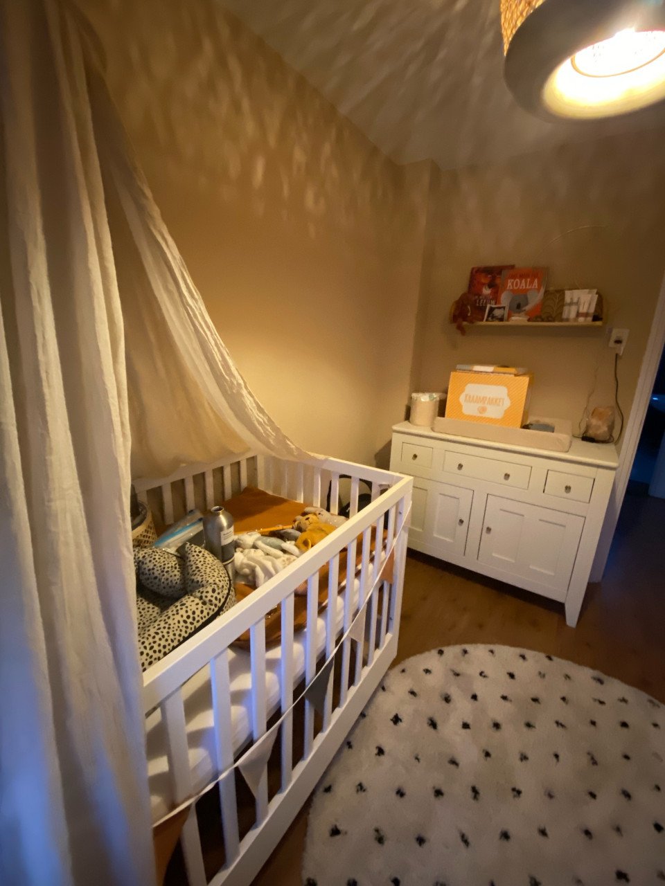 Doorgroeiledikant Petite Amélie