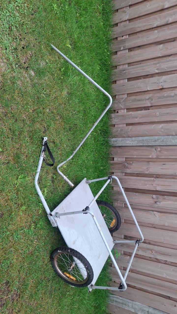 Fietskar/viskar