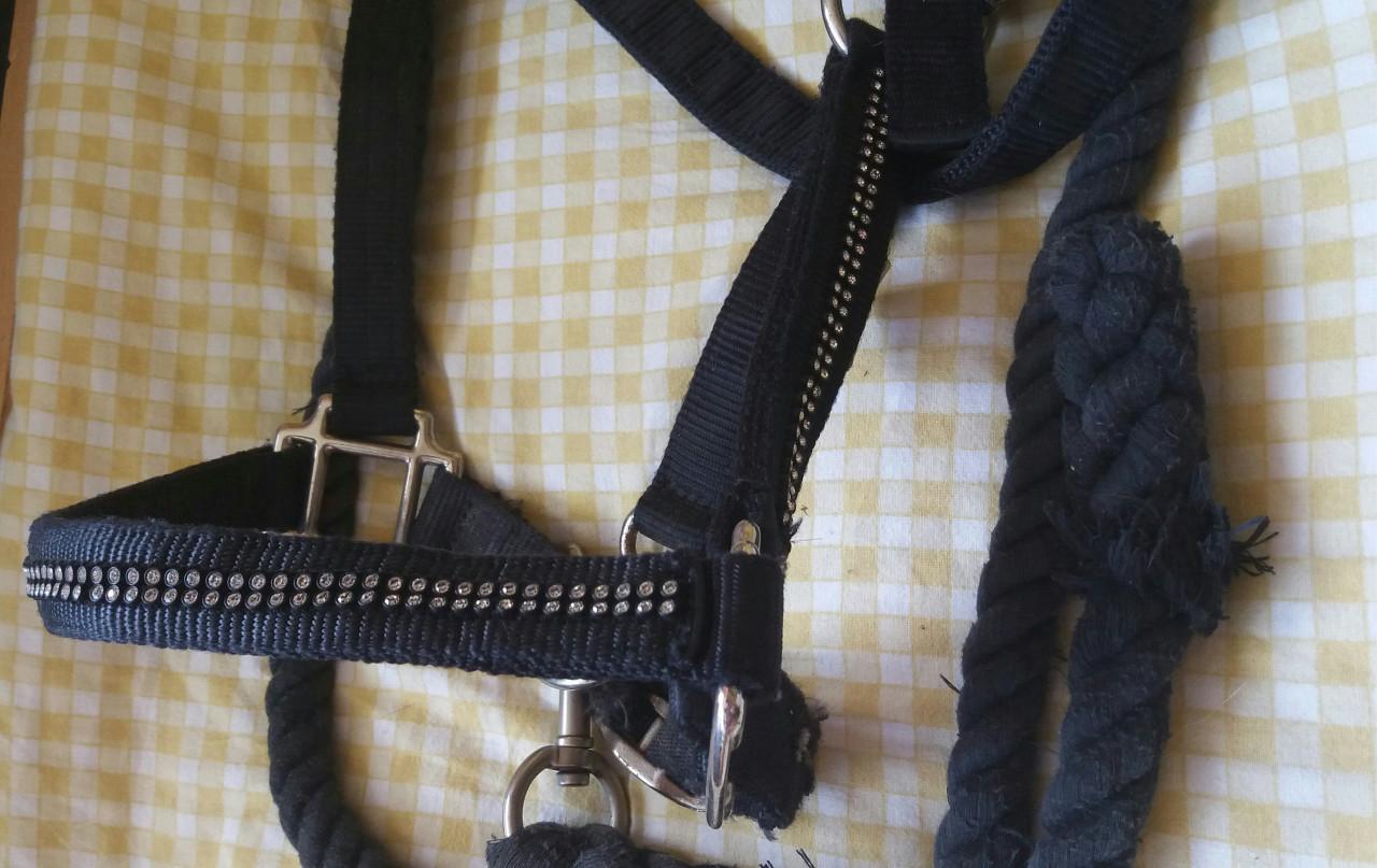 Halster zwart bling Full
