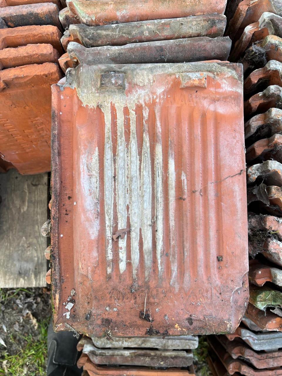 Sterreberg, Pottelberg, Marcke le Courtrai, Gebr. Oppelaar en Gebr. Laumans